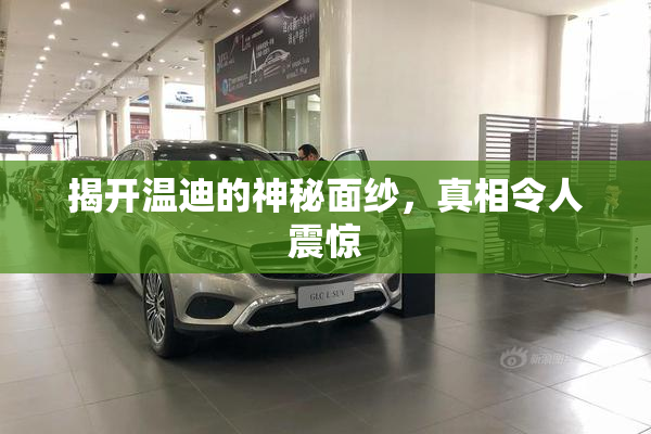 揭开温迪的神秘面纱，真相令人震惊