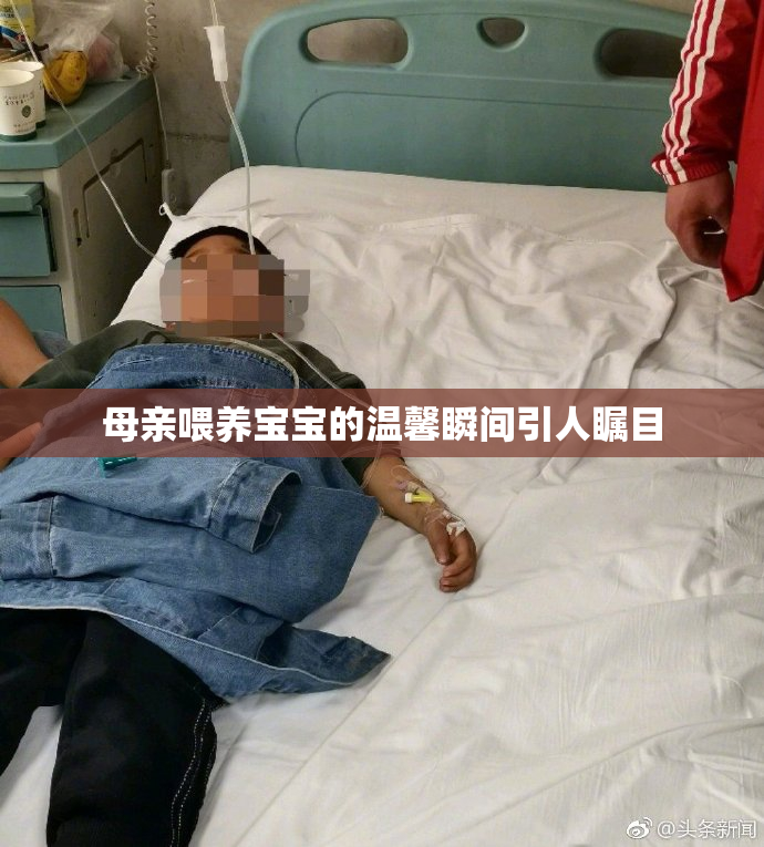 母亲喂养宝宝的温馨瞬间引人瞩目