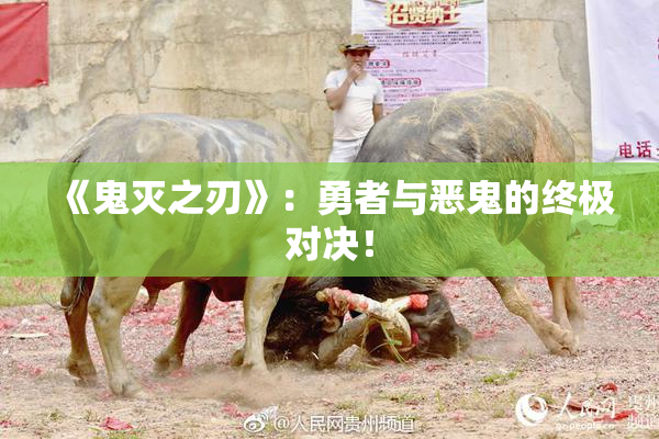 《鬼灭之刃》：勇者与恶鬼的终极对决！