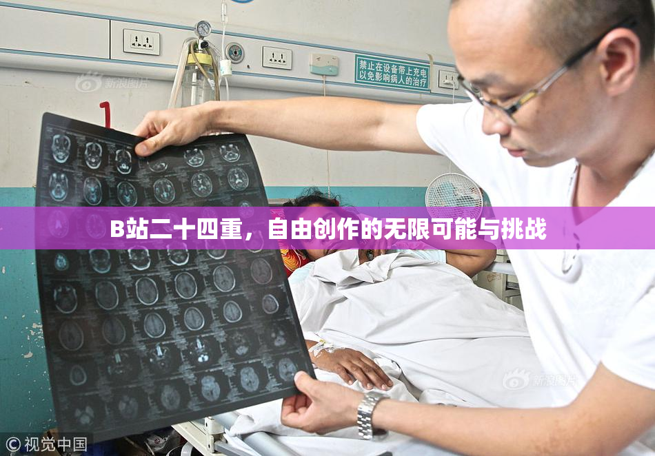 B站二十四重，自由创作的无限可能与挑战