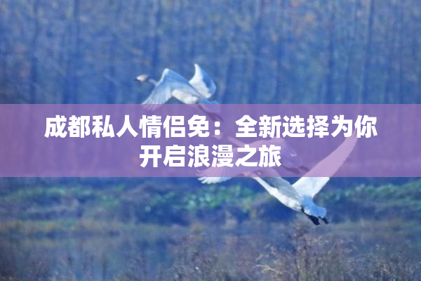 成都私人情侣免：全新选择为你开启浪漫之旅
