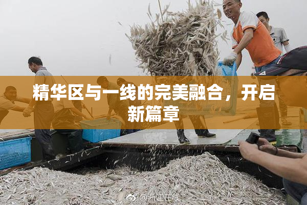 精华区与一线的完美融合，开启新篇章