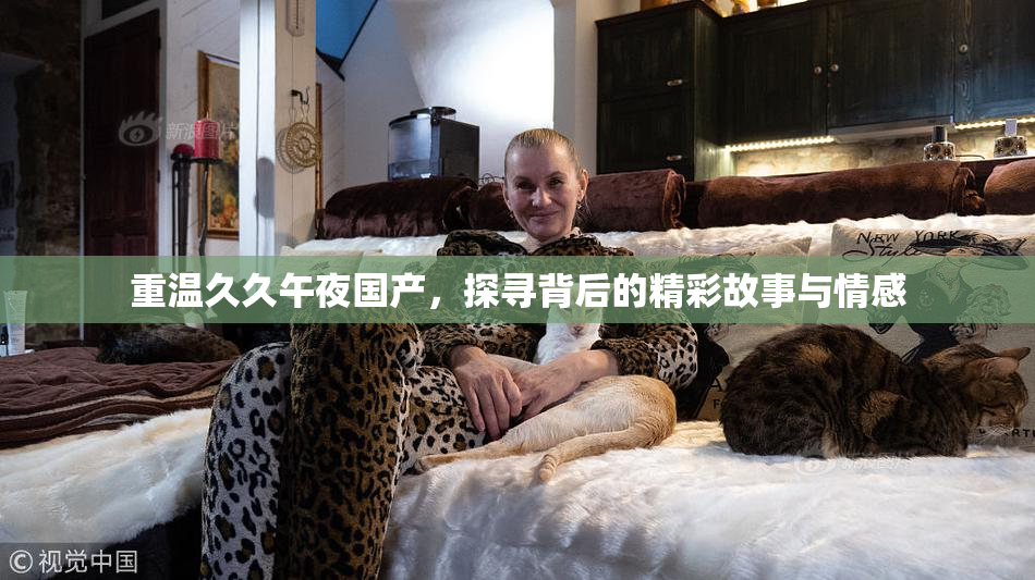 重温久久午夜国产，探寻背后的精彩故事与情感