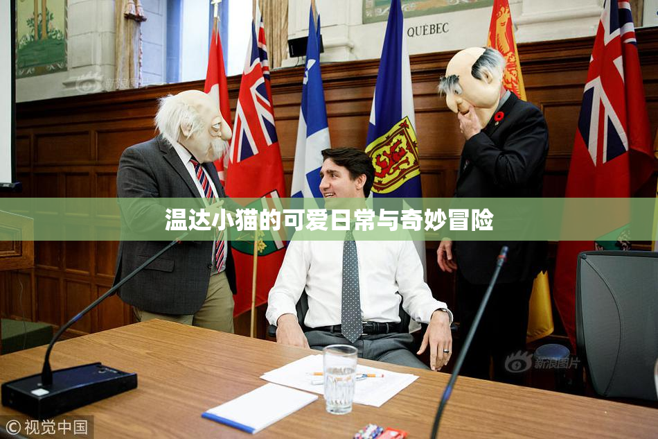 温达小猫的可爱日常与奇妙冒险