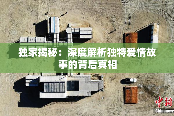 独家揭秘：深度解析独特爱情故事的背后真相