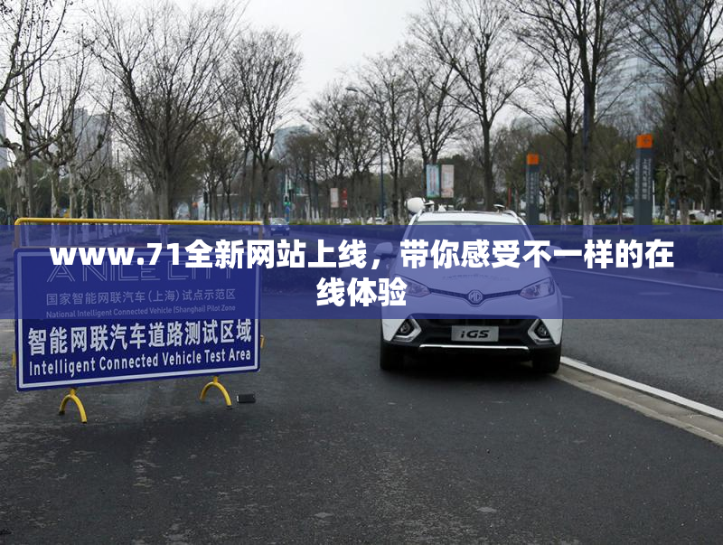 www.71全新网站上线，带你感受不一样的在线体验