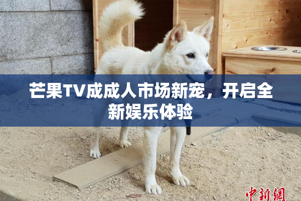 芒果TV成成人市场新宠，开启全新娱乐体验