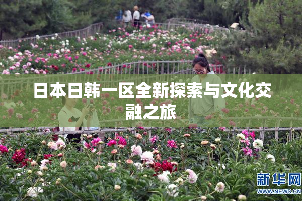 日本日韩一区全新探索与文化交融之旅