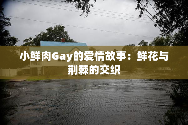 小鲜肉Gay的爱情故事：鲜花与荆棘的交织