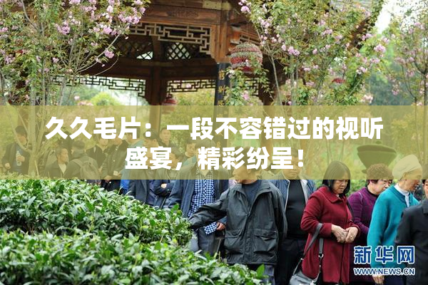 久久毛片：一段不容错过的视听盛宴，精彩纷呈！