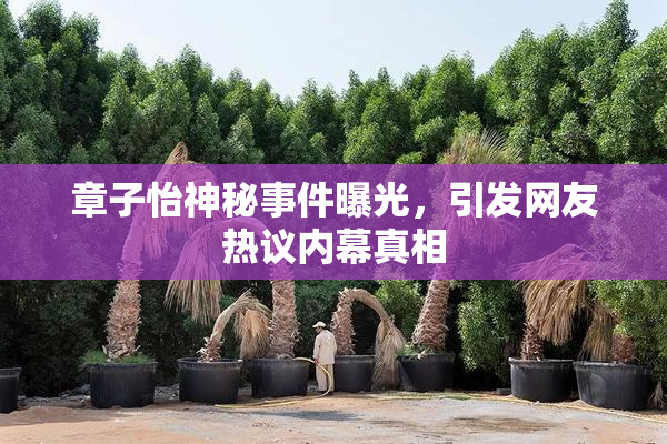 章子怡神秘事件曝光，引发网友热议内幕真相