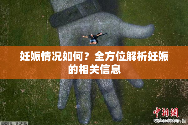 妊娠情况如何？全方位解析妊娠的相关信息