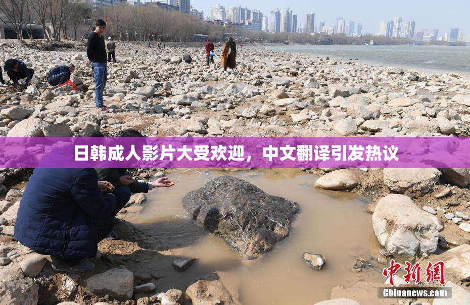 日韩成人影片大受欢迎，中文翻译引发热议