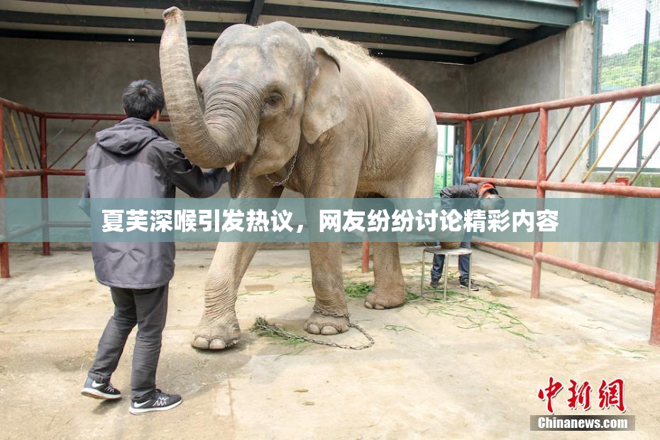 夏芙深喉引发热议，网友纷纷讨论精彩内容