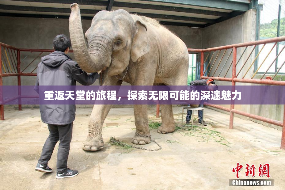 重返天堂的旅程，探索无限可能的深邃魅力