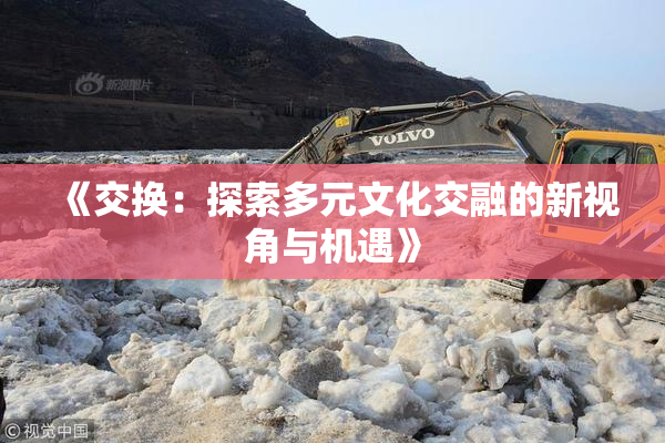 《交换：探索多元文化交融的新视角与机遇》