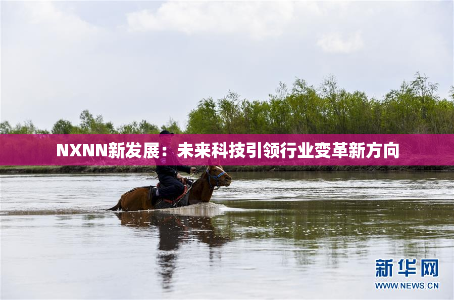 NXNN新发展：未来科技引领行业变革新方向