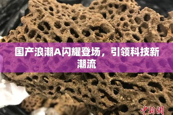 国产浪潮A闪耀登场，引领科技新潮流