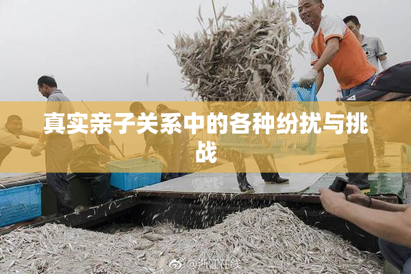 真实亲子关系中的各种纷扰与挑战