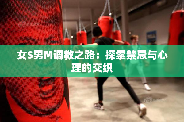 女S男M调教之路：探索禁忌与心理的交织