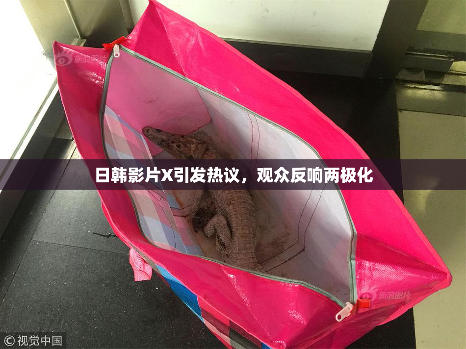 日韩影片X引发热议，观众反响两极化