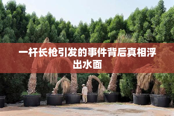 一杆长枪引发的事件背后真相浮出水面