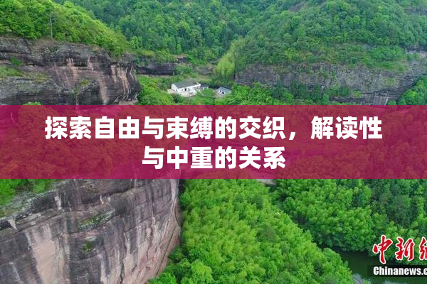 探索自由与束缚的交织，解读性与中重的关系