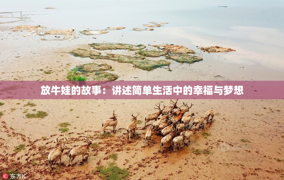 放牛娃的故事：讲述简单生活中的幸福与梦想