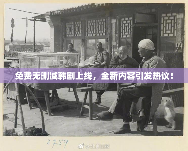 免费无删减韩剧上线，全新内容引发热议！