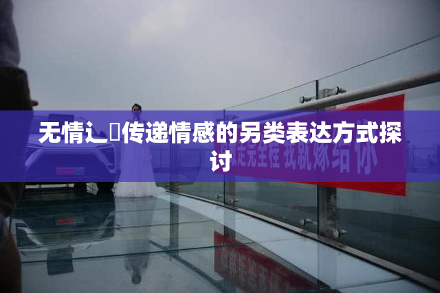 无情辶喿传递情感的另类表达方式探讨