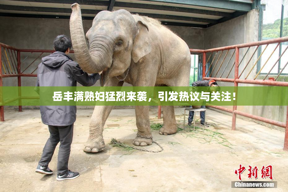岳丰满熟妇猛烈来袭，引发热议与关注！