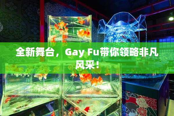 全新舞台，Gay Fu带你领略非凡风采！