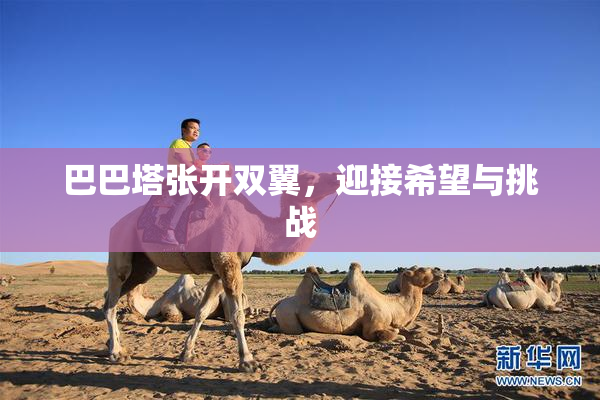 巴巴塔张开双翼，迎接希望与挑战