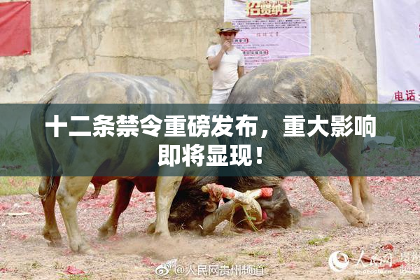 十二条禁令重磅发布，重大影响即将显现！