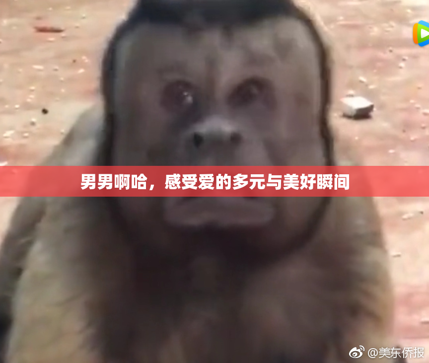 男男啊哈，感受爱的多元与美好瞬间