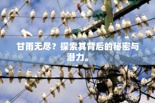 甘雨无尽？探索其背后的秘密与潜力。
