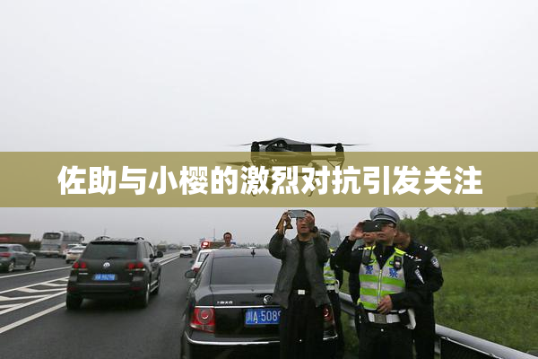 佐助与小樱的激烈对抗引发关注