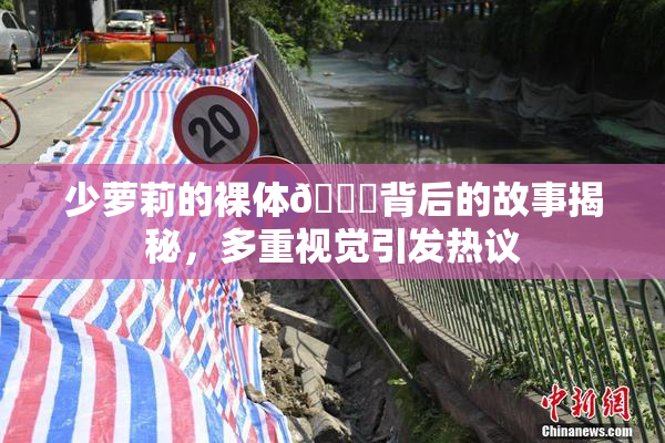 少萝莉的裸体🔞背后的故事揭秘，多重视觉引发热议
