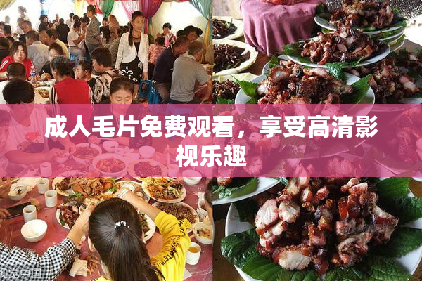 成人毛片免费观看，享受高清影视乐趣