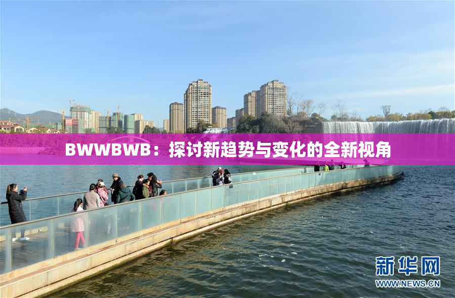 BWWBWB：探讨新趋势与变化的全新视角