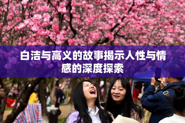 白洁与高义的故事揭示人性与情感的深度探索