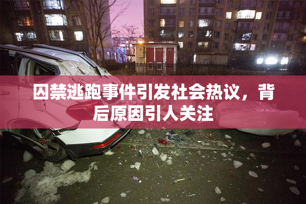 囚禁逃跑事件引发社会热议，背后原因引人关注