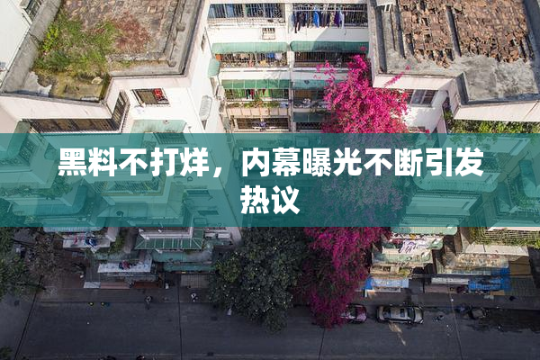 黑料不打烊，内幕曝光不断引发热议