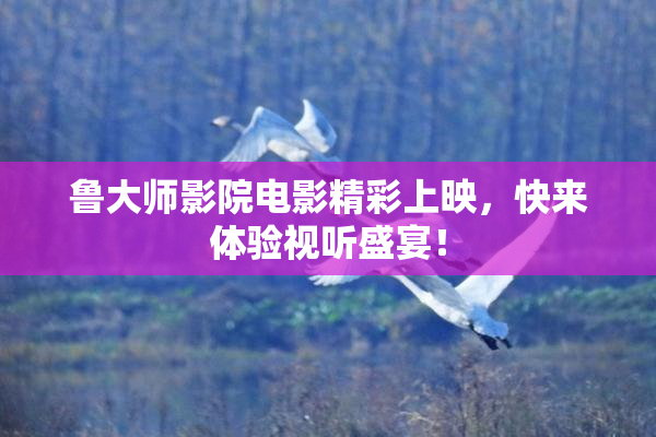 鲁大师影院电影精彩上映，快来体验视听盛宴！