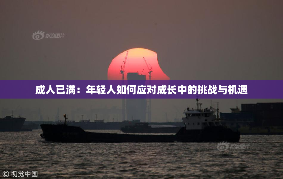 成人已满：年轻人如何应对成长中的挑战与机遇