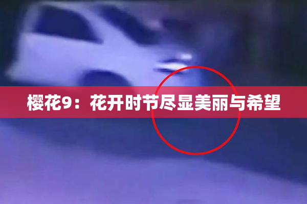 樱花9：花开时节尽显美丽与希望