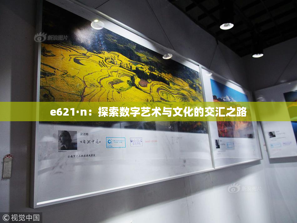 e621·n：探索数字艺术与文化的交汇之路