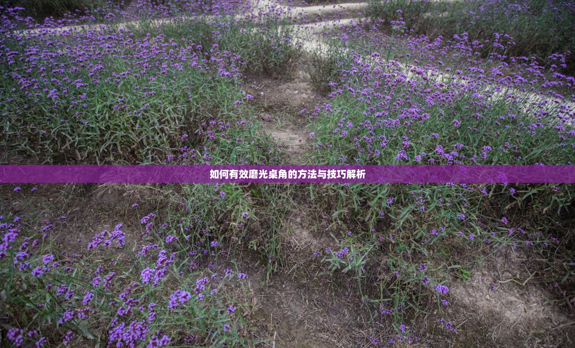 如何有效磨光桌角的方法与技巧解析