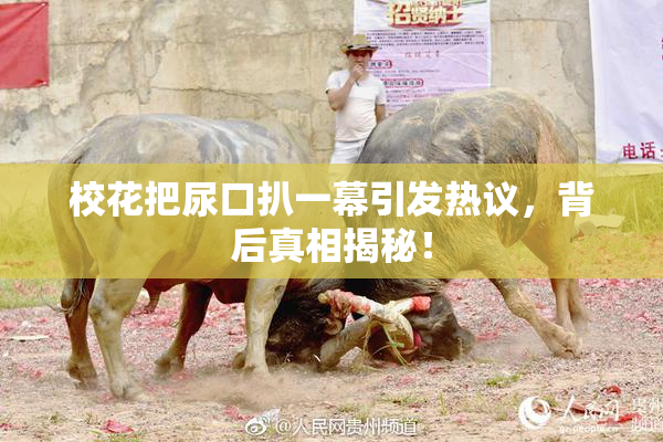 校花把尿口扒一幕引发热议，背后真相揭秘！