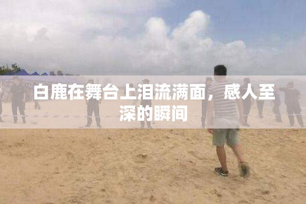 白鹿在舞台上泪流满面，感人至深的瞬间